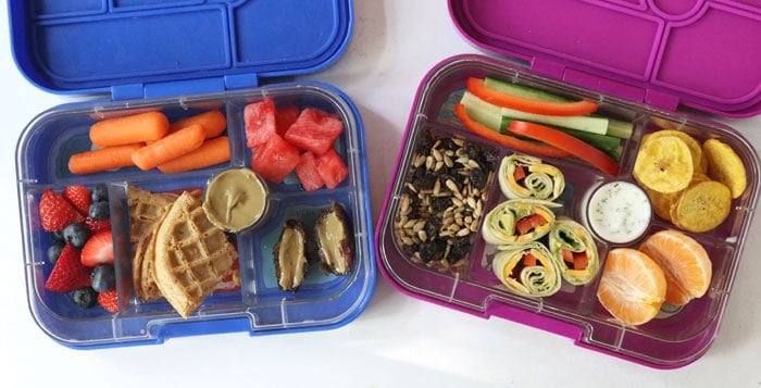 pink and blue bento lunch boxes