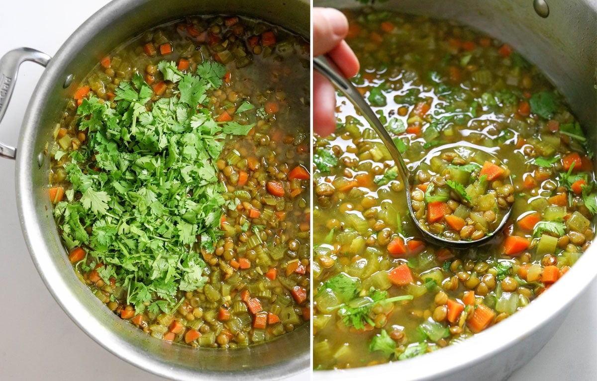 cilantro stirred into the hot soup