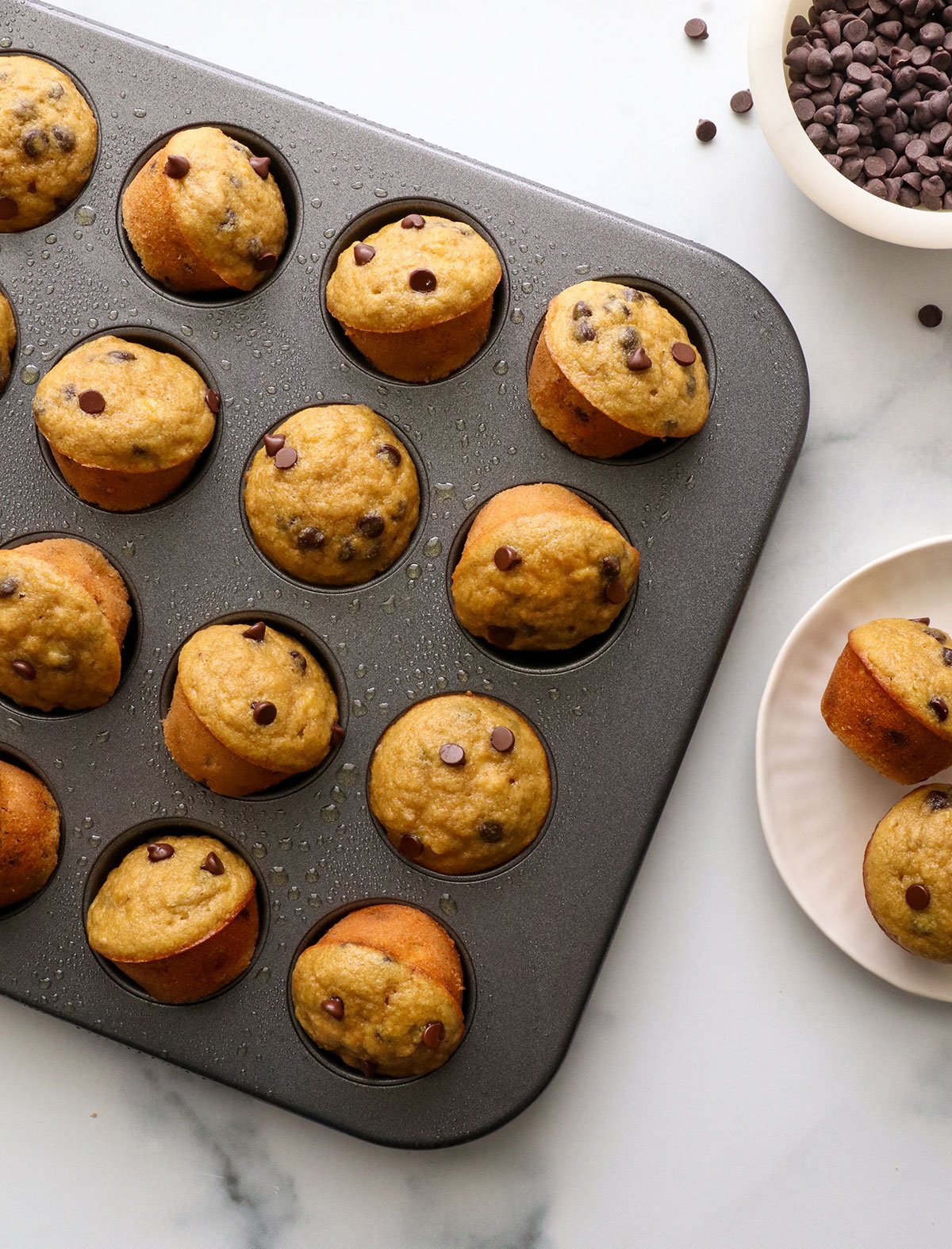 mini chocolate chip muffins cooling in the muffin pan. 