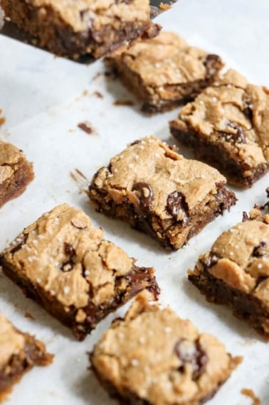 peanut butter chocolate chip blondies