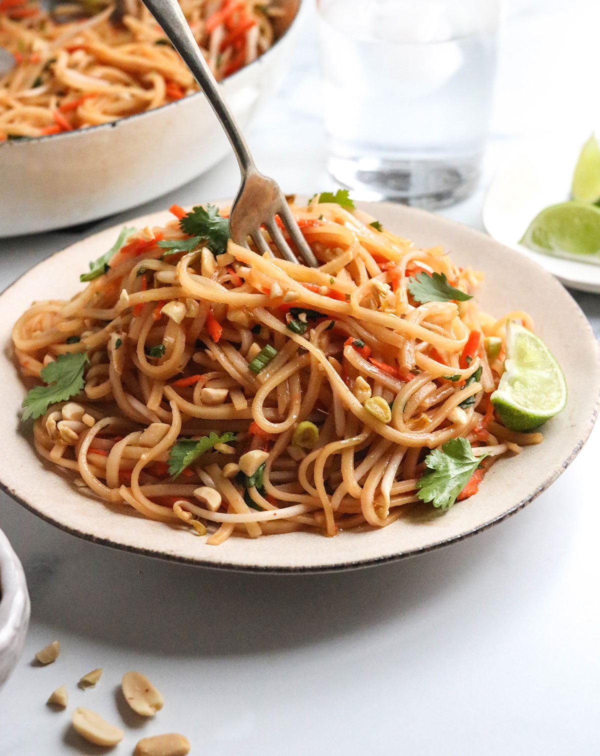 vegan pad thai twirled on fork