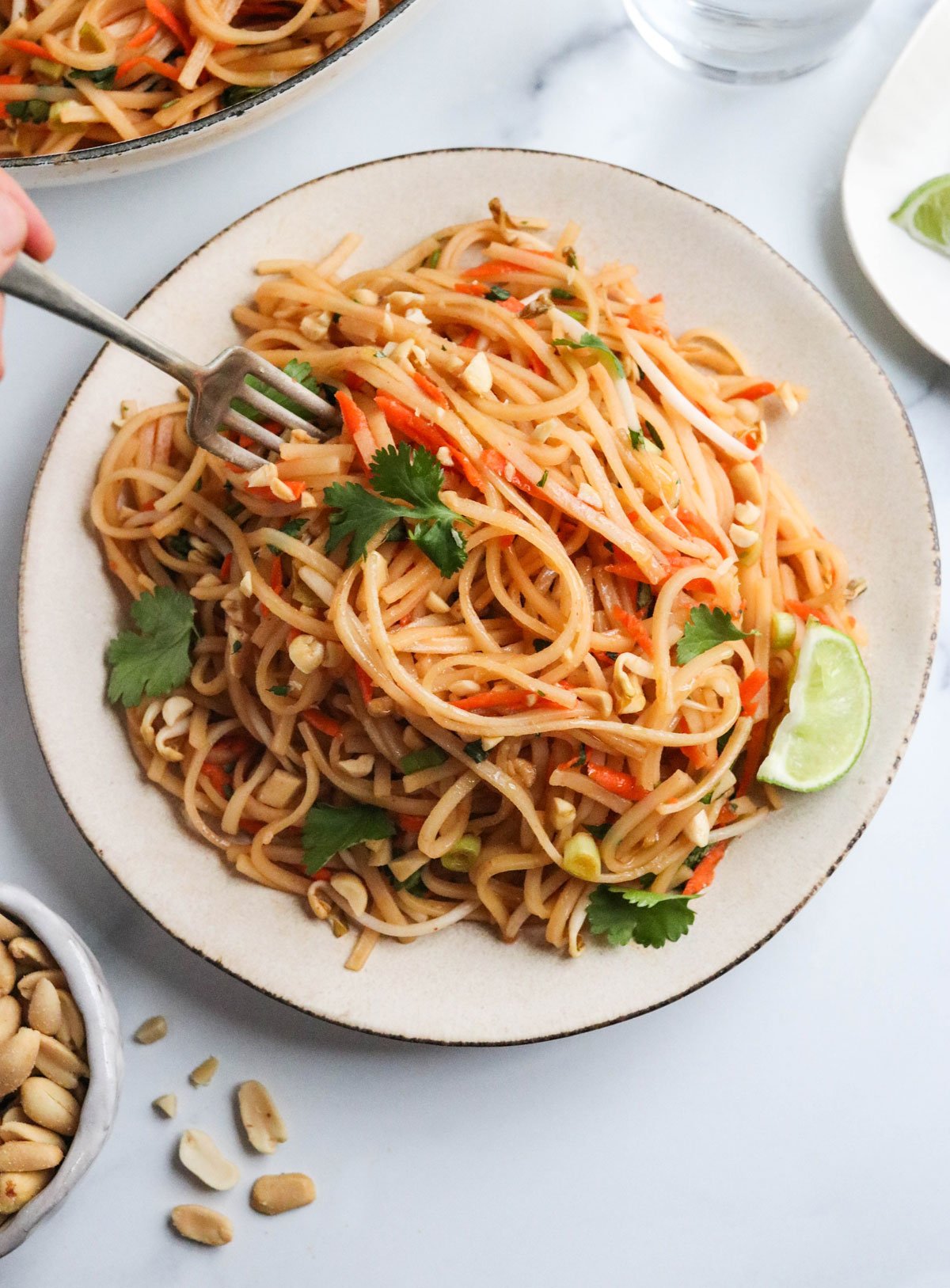 vegan pad thai noodles on plate